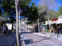 Mallorca Februar 07 (15) 